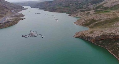 Van'da barajlar doldu taştı