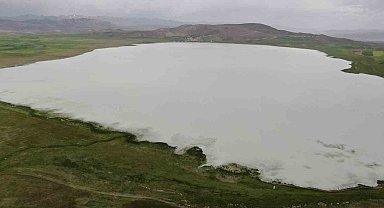 Van'ın Özalp bulunan Akgöl misafirlerini ağırlıyor