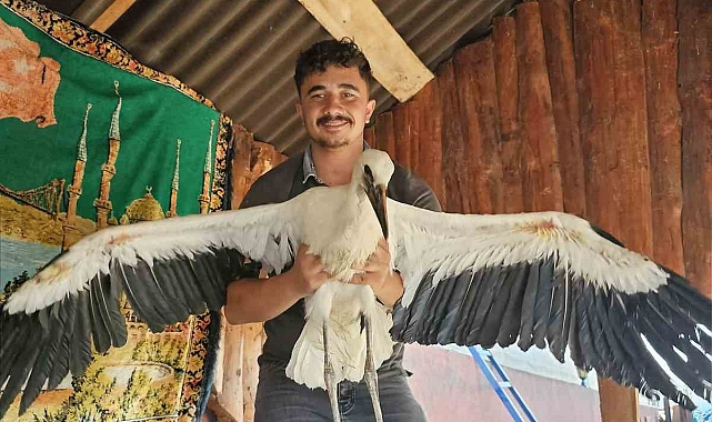 Yavru leyleğe sahip çıkan vatandaşın insanlık örneği