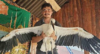 Yavru leyleğe sahip çıkan vatandaşın insanlık örneği
