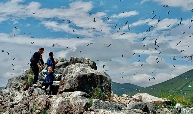 2 bin 241 rakımda yüzlerce kuşa ev sahipliği yapıyor