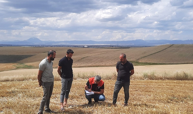 Ağrı’da Biçerdöver Hasat Kontrolleri Devam Ediyor