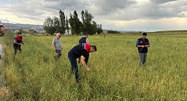 Ağrı’da dolu tarım arazilerini vurdu