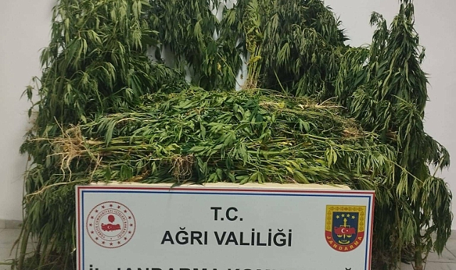 Ağrı'da milyonlarca liralık kaçak mal ve uyuşturucu ele geçirildi