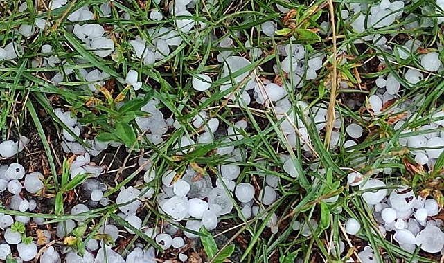 Ardahan'da sağanak ve dolu yağışı etkili oldu