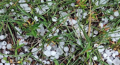 Ardahan'da sağanak ve dolu yağışı etkili oldu