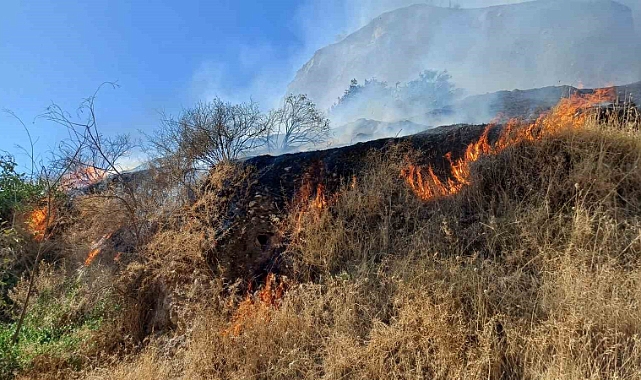 Aytepe mesire alanında yangın