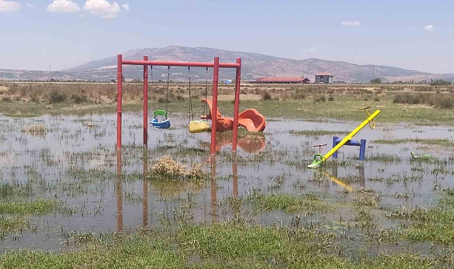 Bakımsız kalan kanallar merayı bataklığa çevirdi