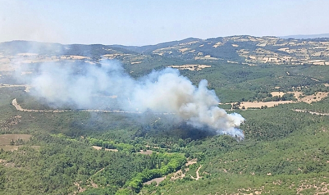 Balıkesir’de orman yangını
