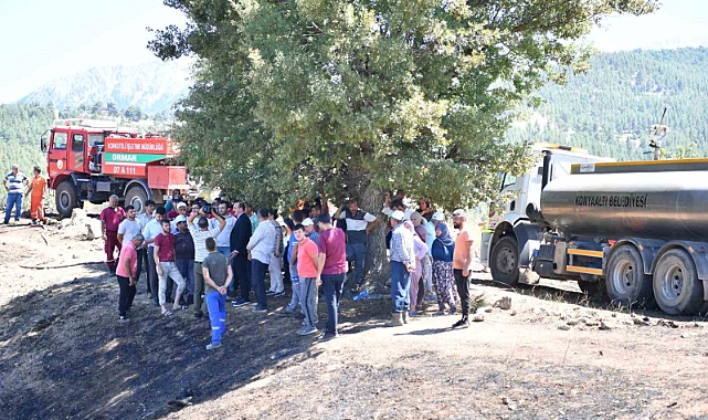 Başkan Kotan, Doyran’daki yangın alanında incelemelerde bulundu