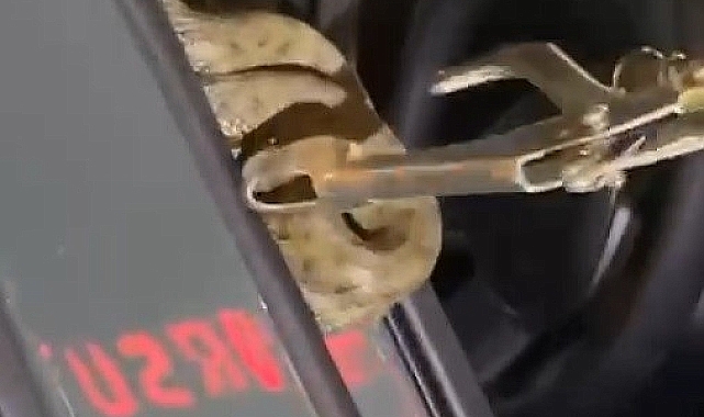 Bingöl'de arabaya giren yılanı itfaiye ekipleri çıkardı