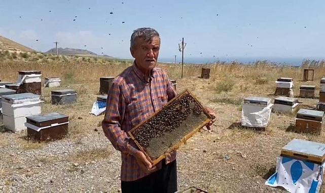 Bitlis'te bal sağımı başladı