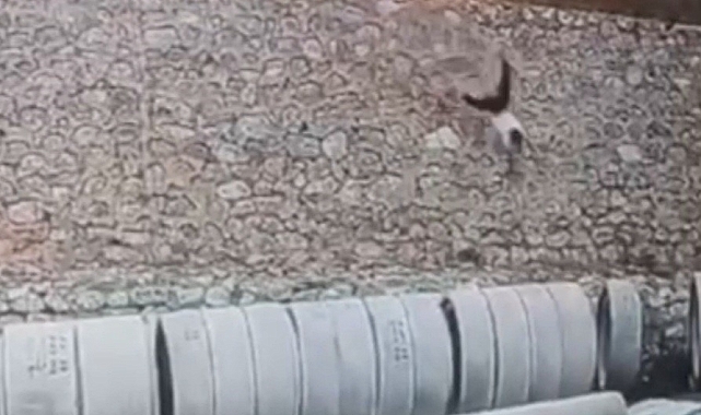 Bitlis'te bisikletle istinat duvarından aşağıya düşen çocuk ağır yaralandı