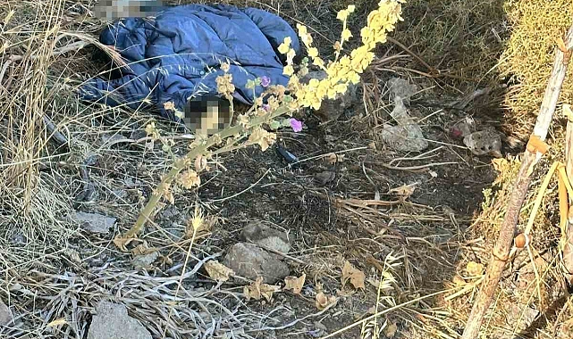 Bodrum’da dağda insan kemikleri bulundu