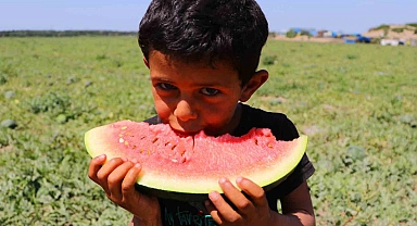 Bunaltıcı sıcaklardan korunmak için  karpuz tüketimi arttı