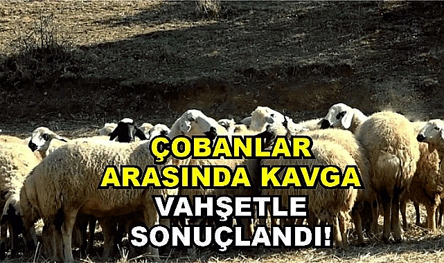 Çobanlar arasında kavga vahşetle sonuçlandı!