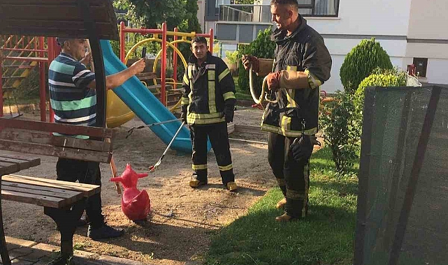 Çocuk oyun alanında yılan paniği