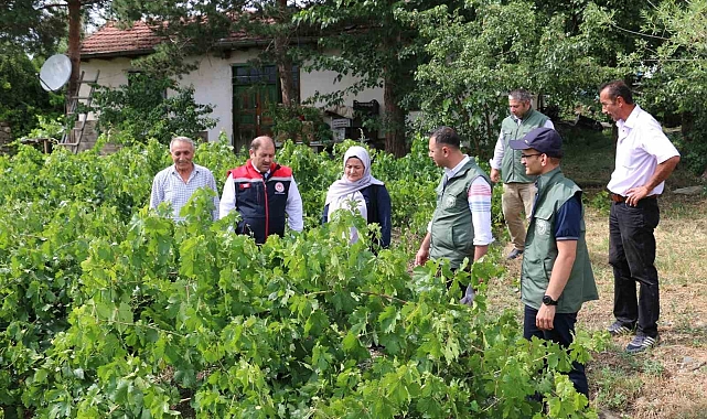 Dolu zarar verdi Üzümlü' ye
