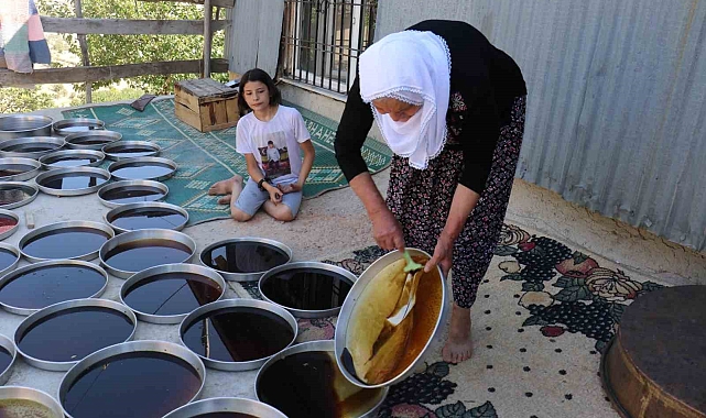 Dutun meşakatli pekmez yolculuğu başladı