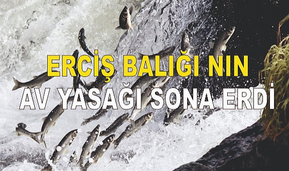 Erciş Balığı'nın av yasağı sonra erdi