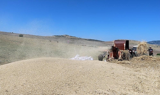 Erzincan'da 36 derece sıcakta kışlık yem mücadelesi
