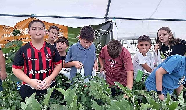 Erzincan'da "Okuldaki Çiftlik" projesiyle minik öğrenciler sebze hasadına başladı.