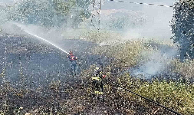 Erzincan'da örtü yangını büyümeden söndürüldü