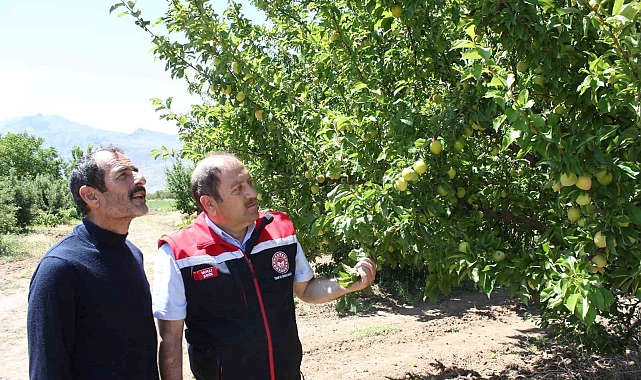 Erzincan'da bahçeler mavi bayrakla donatıldı