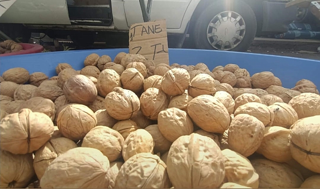 Erzincan'da Ceviz Fiyatları Belli Oldu