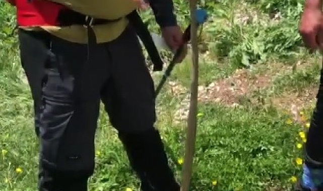 Erzincan'da sıcak havalar yılan görülme vakalarını artırdı