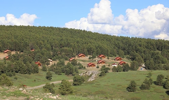 Erzincan'ın yeşil cenneti: Dumanlı Tabiat Parkı