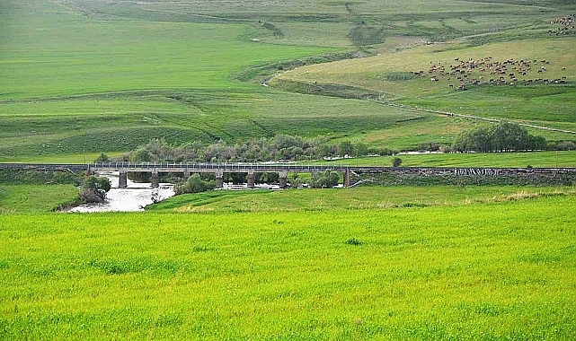 Erzurum mera ve çayır zengini