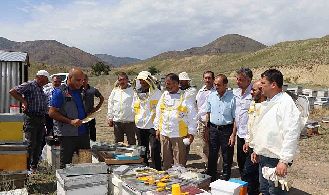 Erzurum'da arıcılara ana arı üretimi öğretildi