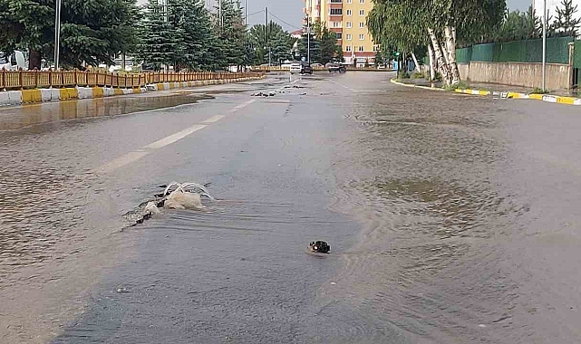Erzurum'da sağanak hayatı durma noktasına getirdi