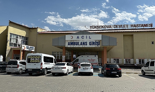 Hakkari'de mayına basan çoban hayatını kaybetti