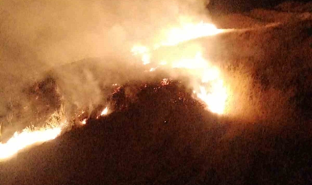 Hakkari'de Anız yangınına itfaiye anında müdahale etti