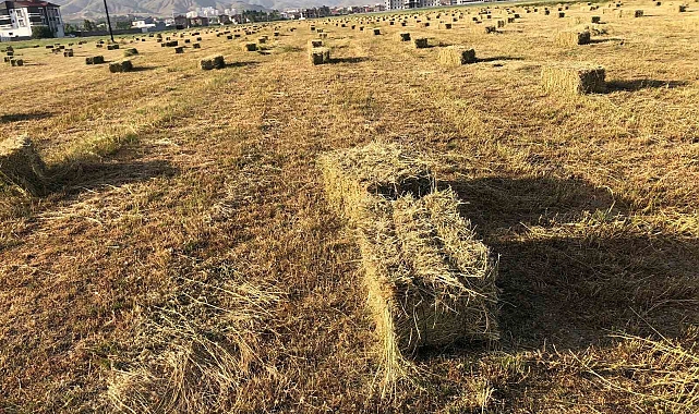 Hakkari'de yağışlar tarımda verimliliği artırdı