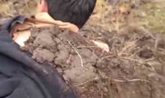 Iğdır'da yıldırımın çarpan çocuklarını toprağa gömerek kurtardılar