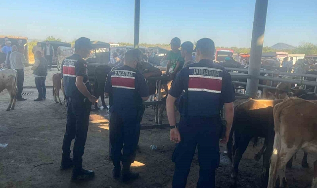 Jandarmadan Çine’de hırsızlık ve dolandırıcılığa karşı sıkı denetim