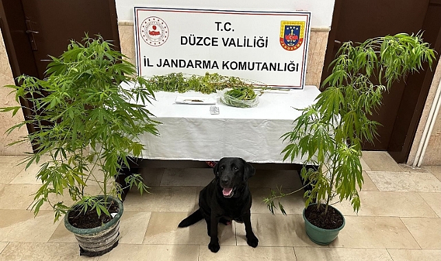 Jandarmanın uyuşturucu ile mücadelesi sürüyor