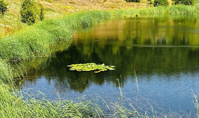 Karagöl turizme kazandırılacak