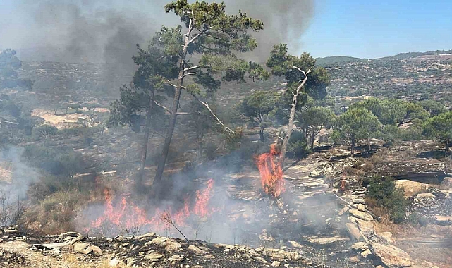 Kavaklıdere’de orman yangını