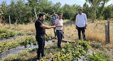 Kaymakam Adıbelli, Tutak’taki Meyve Bahçelerini Ziyaret Etti
