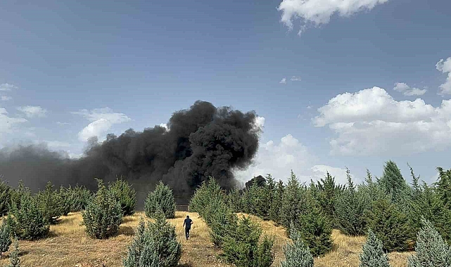 Malatya'da korkutan konteyner yangını