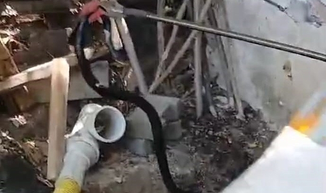 Malatya'da yılan paniği