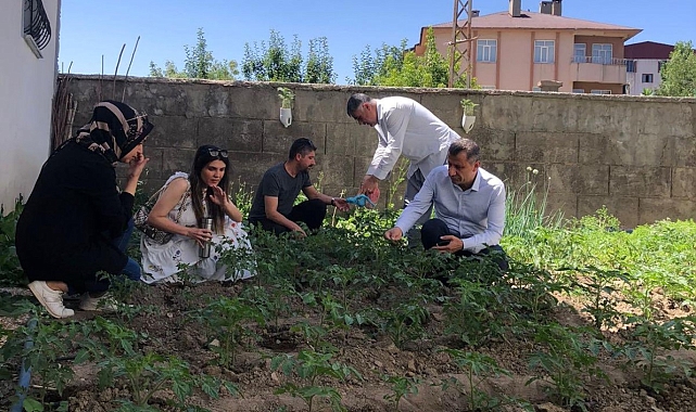 Müdür Yiğit ilçedeki sebze alanlarını inceledi