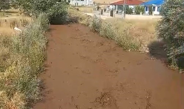 Muş Varto'da dereler taştı, tarım arazileri sular altında kaldı