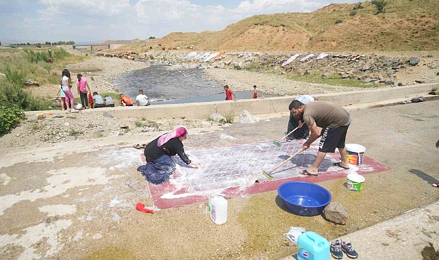 Muş'ta Kızılağaç deresinde renkli görüntüler: Kadınlar halı yıkadı, çocuklar yüzdü