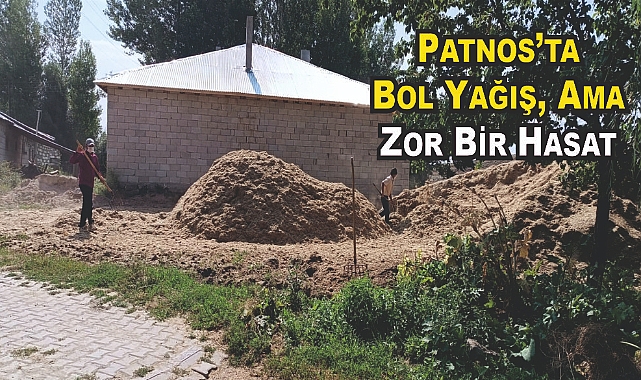 Patnos Çiftçisi Zor Durumda: Bol Yağış, Ama Zor Bir Hasat