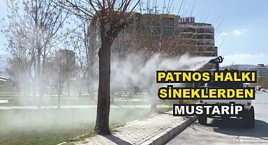Patnos Halkı Sineklerden Muzdarip